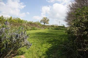 Another amazing spot within the grounds should you wish to settle down with a picnic surrounded by all the splendour mother nature has to offer.