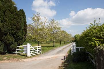 Your holiday starts here. Turn into this lovingly maintained driveway which leads you through the Kenton Park Estate grounds and directly to The Vineyard Retreat.