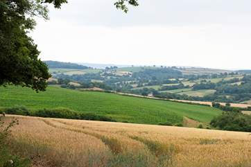 These are the panoramic views from the cottage