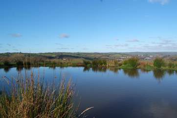 Sit by the pond and take in the views and the wildlife.