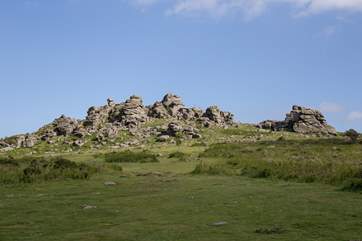 Even closer to Oak Cottage is the infamous Dartmoor National Park. This is a 'must do' day out. A fabulous day out for the whole family.