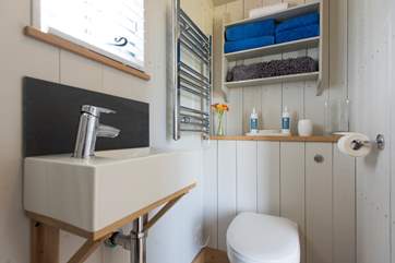 The stylish shower-room.