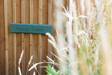Welcome to George Cabin!