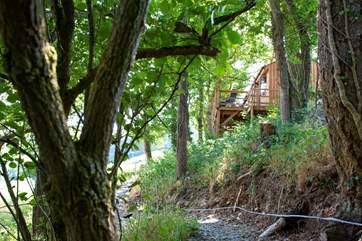 Catch your first exciting glimpse of the cabin from the path.