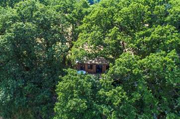 George Cabin is hidden in the trees on the edge of a hilltop clearing, with only it's brother, King's Cabin, as it's neighbour (both are private from eachother).
