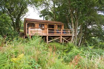 Kings Cabin standing on stilts amongst the trees.