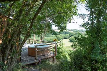 That's what you call a hot tub with a view!