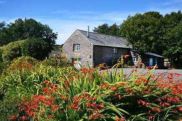 The stunning Lower Willsworthy Cottage.