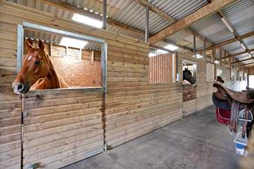 A visit to the stables proves a real treat for the younger members of your party.