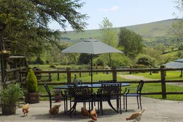 Dine al fresco in this fabulous courtyard.