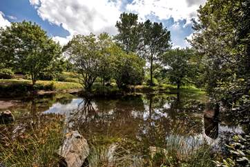 The calm and tranquil lake provides the perfect spot to sit and relax with a good book.