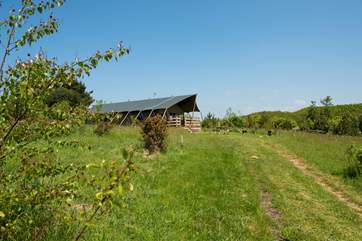 There is plenty of space for the kids and dog to run and play.
