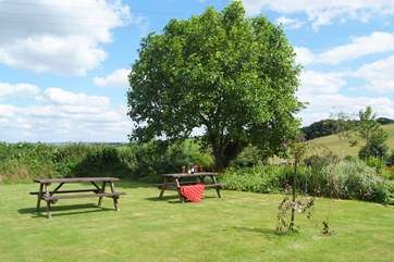This is the side garden which has far reaching views across the fields and valley beyond.