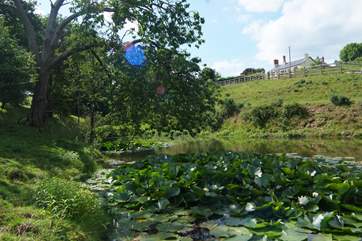 A view across the lake and up the hill to the farmhouse at the top