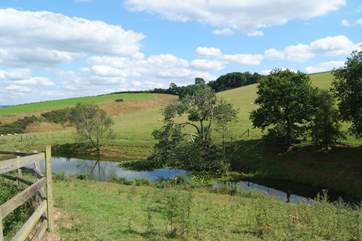 A garden gate leads to a little paddock and a further gate then leads to the fishing lake which is at the bottom of the hill.