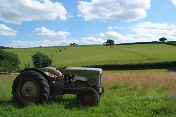 Children will enjoy clambering on this old tractor in the play area.