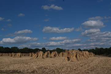 North Devon is a beautifully rural part of the country. This traditional scene was spotted just down the road!