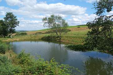 At the bottom of the hill is this fenced fishing lake for guests to enjoy. It is stocked with rudd, roach and carp.