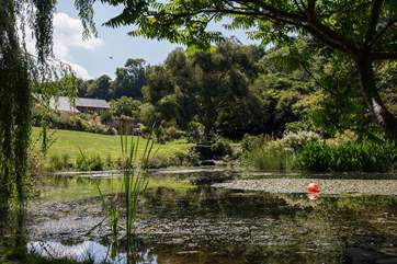 The stunning lake which is situated in the centre of the grounds. Please be careful with little ones in and around this area.