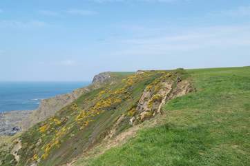 Head to the coast for endless miles of fabulous walks.