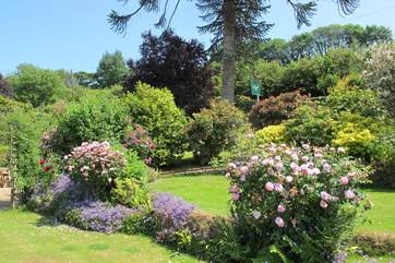 The stunning shared gardens.