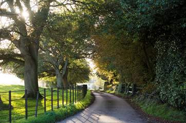 The private drive leading to Midleydown - let the adventure begin!