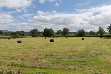 Middle Weaver is not overlooked at all - it is surrounded by fields and open countryside.