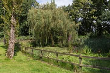 The wildlife pond is fully fenced.