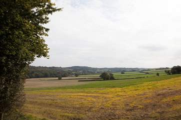 Take a stroll through the beautiful countryside