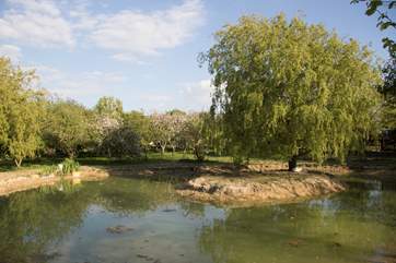 Blakes Barn is set in beautiful settings