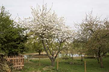 Set in naturally landscaped grounds