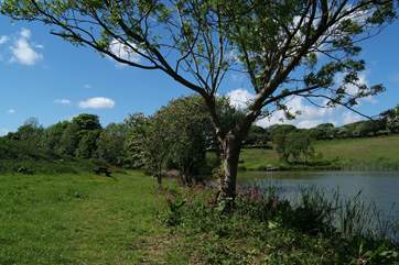 There are picnic spots around the lake.