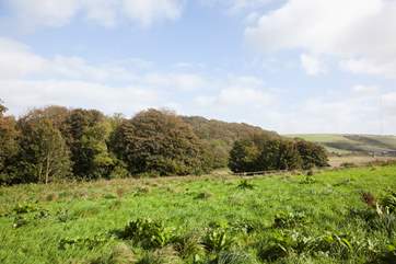 In the heart of the historic village of Shorwell.