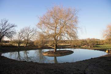 Please take care of children near the pond