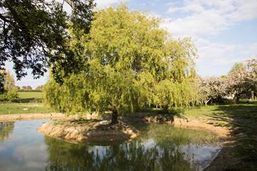 Please supervise children near the pond, which is surrounded by a low fence