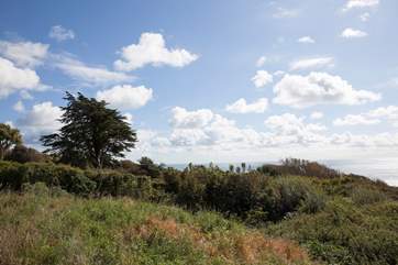 Explore the Islands beautiful countryside