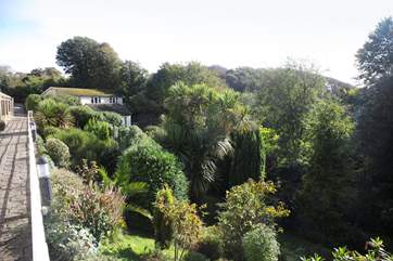 The property is surrounded by mature trees and palms, with natural landscaping
