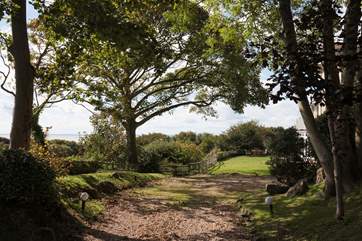 If the sun is shining, there are plenty of sunny spots in the garden