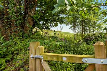 The lovely countryside setting