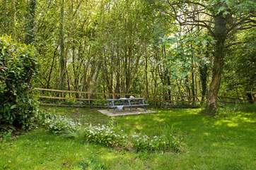 Enjoy a picnic in the grounds