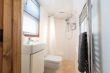 The ground floor wet-room.