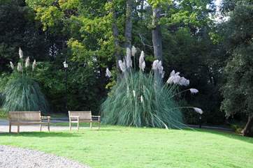 Take a seat in the peaceful garden, relax and enjoy the tranquility of the surroundings