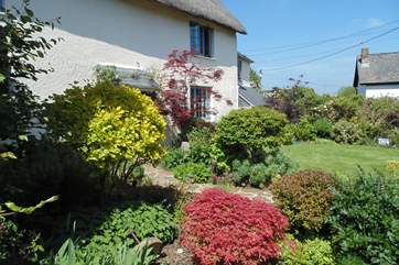 What a stunning garden in full bloom.