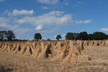 North Devon is a beautiful rural county with some everlasting traditions,