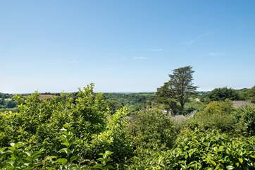 The view from the terrace