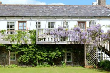 The stunning wisteria makes the front of this balcony suite very attractive indeed.
