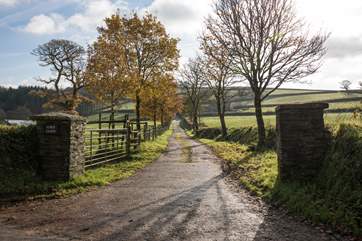 The driveway up to The Apple Store - what a way to begin your adventure!