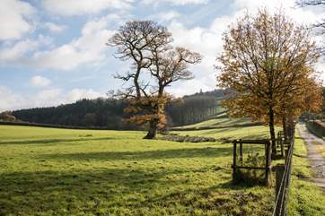 Even on a crisp autumn day this glorious countryside lights up - what a breathtaking location for a get-away-from-it-all break.