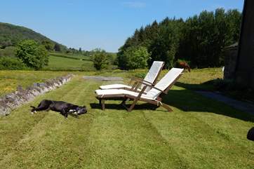 There are sun-loungers for you to make the most of too - as you can see, you may have some friendly company in the form of the owner's lovely dog and horse!