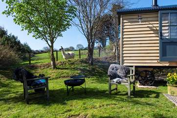 Sit out in the sunshine.